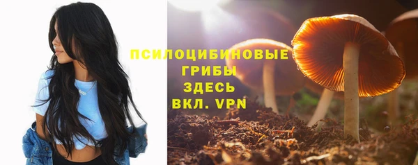 ешки Карпинск