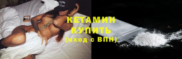 сатива Каменка