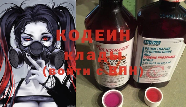 ешки Карпинск