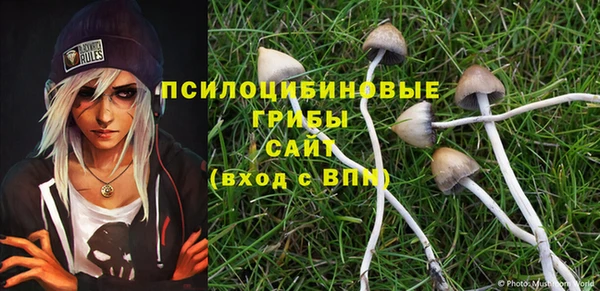 ешки Карпинск