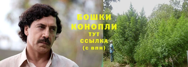 прущая мука Карталы