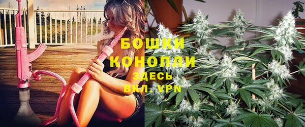 ешки Карпинск